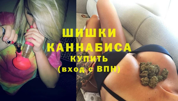 гашик Аркадак