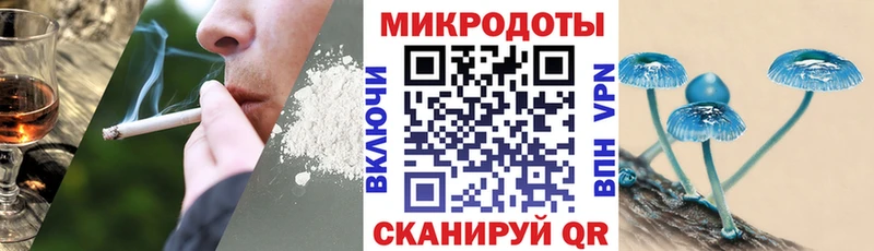 купить наркоту  Петровск-Забайкальский  kraken зеркало  Псилоцибиновые грибы ЛСД 